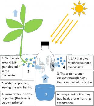 "In-soil" desalination (vapour-fed irrigation augmented with Super Absorbent Polymers)